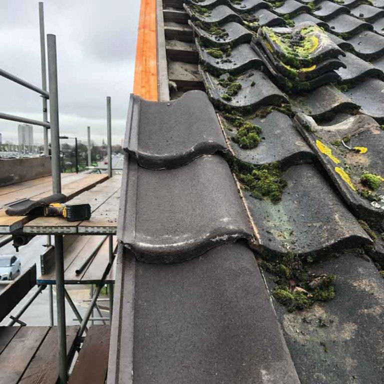 Roof Repair Experts
